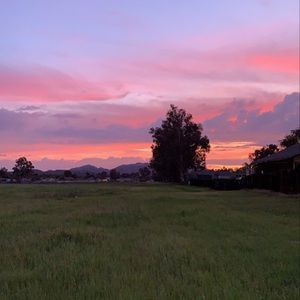 Meet your Posher, Brooklynn